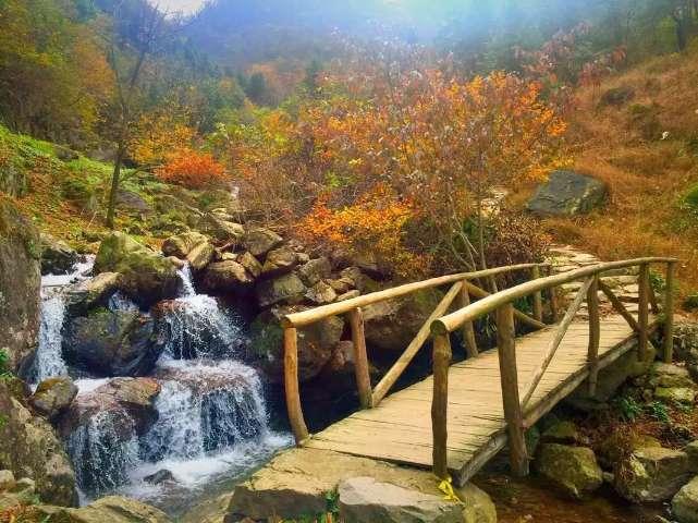 升空的愤怒奶奶